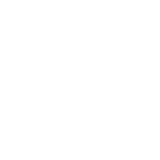 Innovation Committee